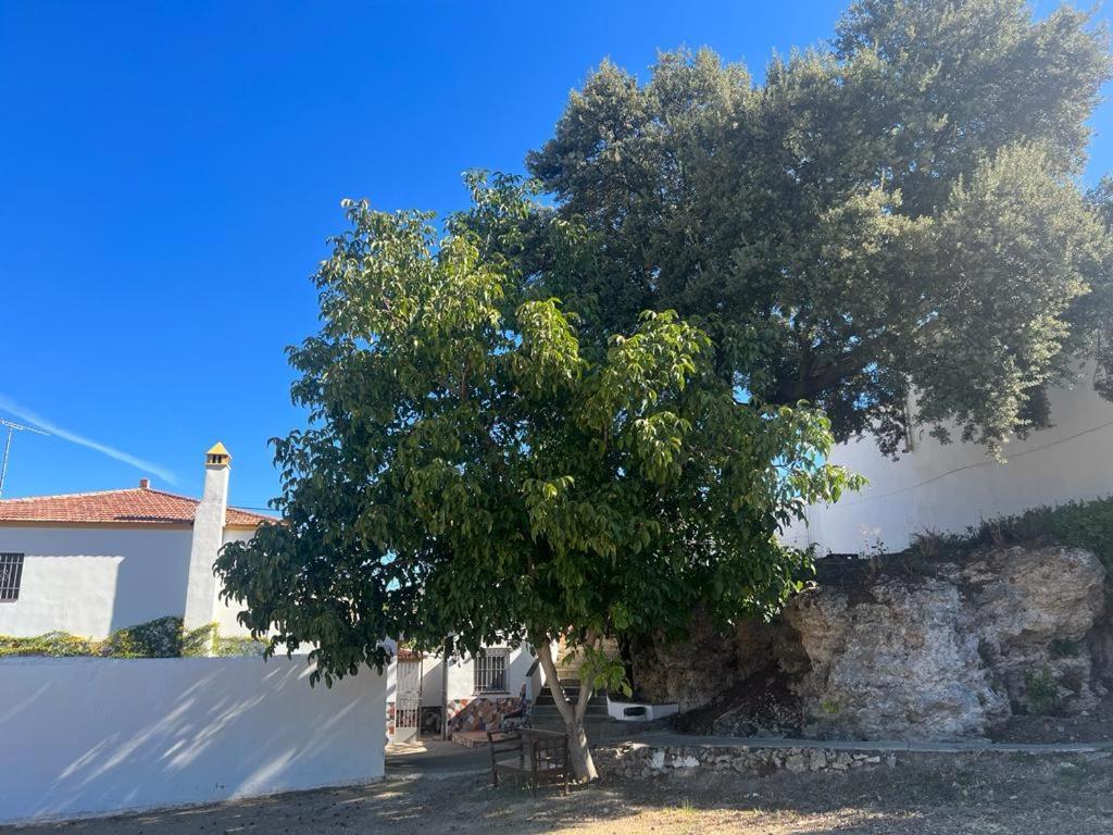 Alojamiento Rural Huerta Mandre Cuevas del Becerro Kültér fotó