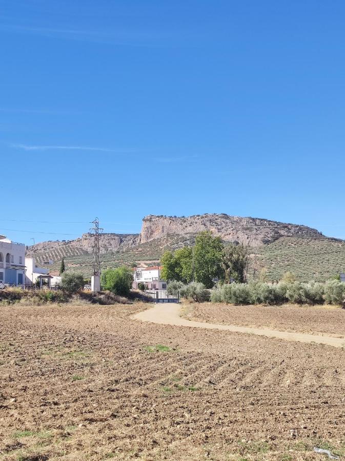 Alojamiento Rural Huerta Mandre Cuevas del Becerro Kültér fotó