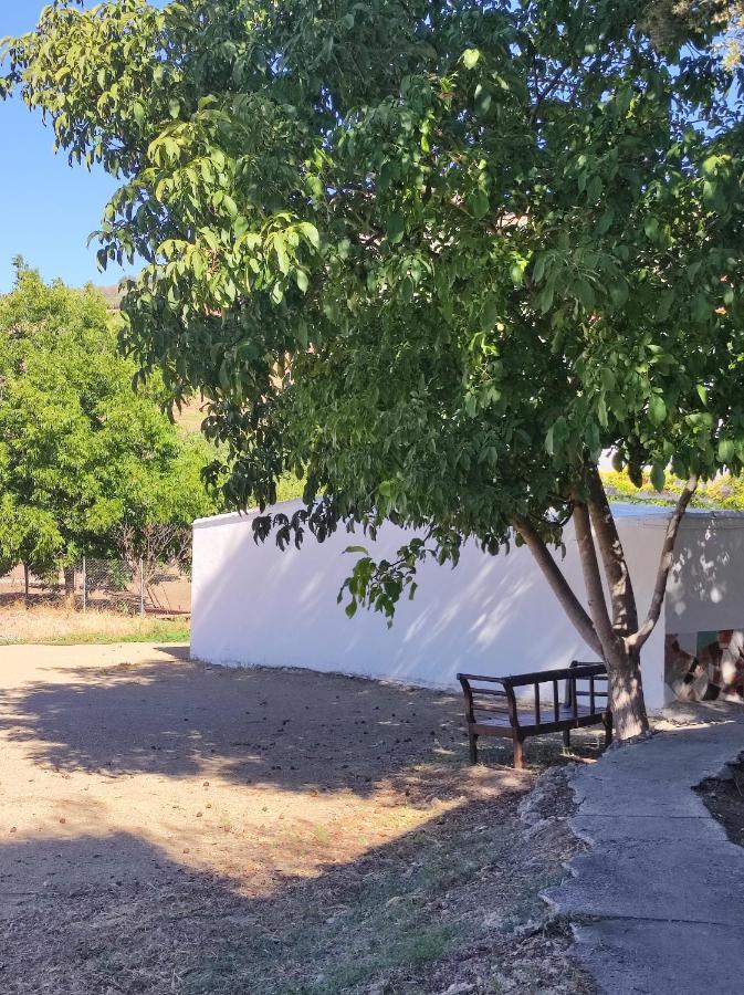Alojamiento Rural Huerta Mandre Cuevas del Becerro Kültér fotó